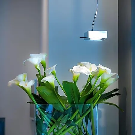 Executive Boutique 4*